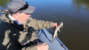 Рыбалка на Тоболе/судак, щука 2022