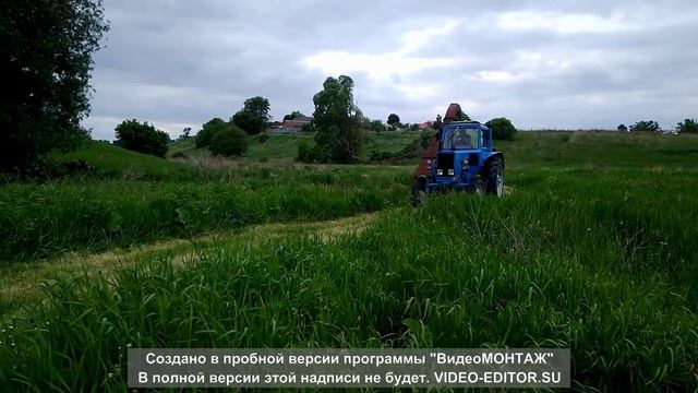 Косим зеленый корм телятам. МТЗ-80+КИР-1.5+прицеп 1ПТС-2
