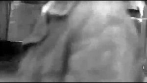 Песня Безпризорника . К/ ф . Белый флюгер