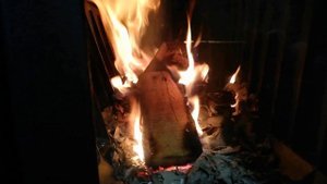 Šporet na drva | Plamen 850 GLAS | Šporet na čvrsto gorivo