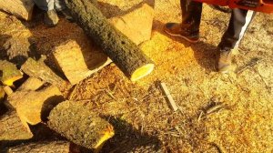 Silen 5800 vs husqvarna 120 mark II