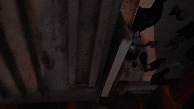 газовый конвектор смотреть онлайн