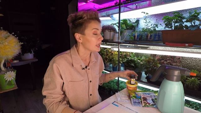 ПАУТИННЫЙ КЛЕЩ.КАК БОРОТЬСЯ С ПАУТИННЫМ КЛЕЩОМ. смотреть онлайн