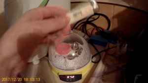 Магазинные яйца. Обзор инкубатора HHD на 7 яиц. Часть 3.