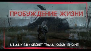 ПРОБУЖДЕНИЕ  - S.T.A.L.K.E.R : SECRET TRAILS  OGSR  ENGINE ТАЙНЫЕ ТРОПЫ 2 ( 5 серия )