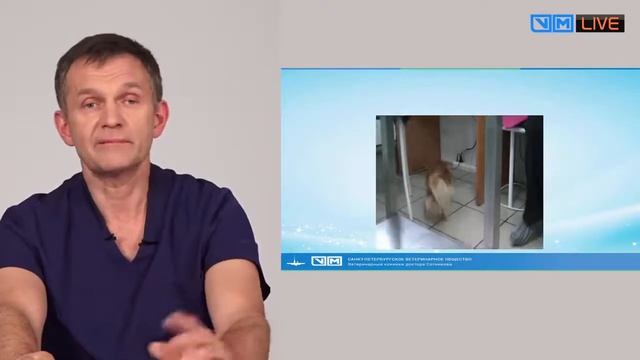 Опухоли головного мозга1 смотреть онлайн