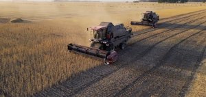 Уборочная кампания 2022. Съемка с дрона Dji mini 3 pro