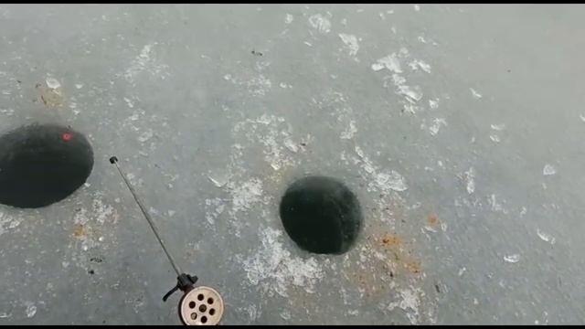 Киселевское водохранилище Ростовской области 10.02.2022 смотреть онлайн