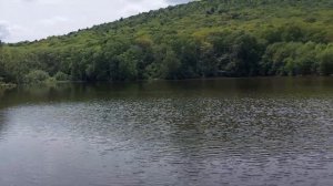 Озеро в Корфовском. Лотосы в Хабаровске. Карьер на 18-ом км.