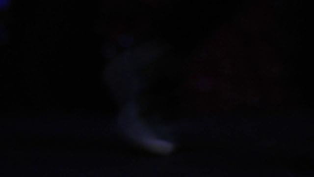 sophia lazo acompas flamenco смотреть онлайн