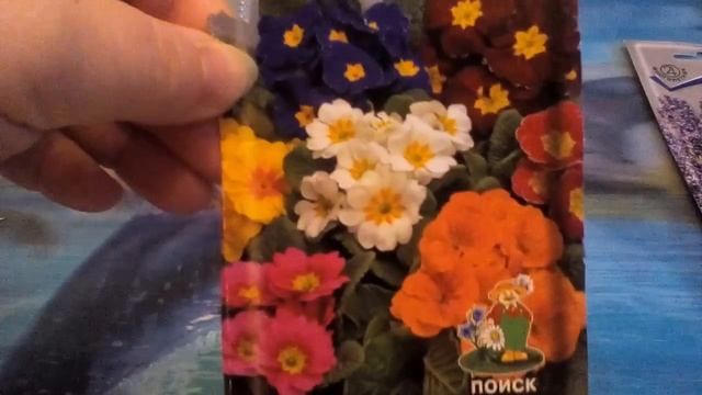 Стратификация семян примулы. смотреть онлайн