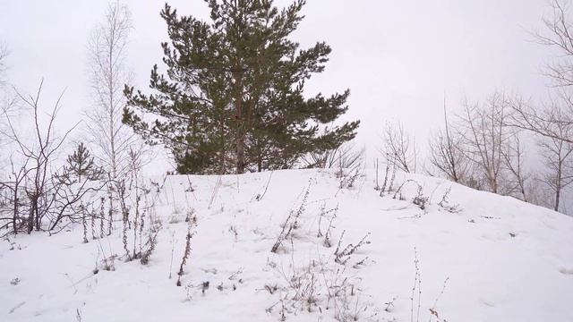 Царёв курган, Самарская область 24.03.2021 Sony A7C (PP10 (HLG)) Tamron 28-200, Sony RX0 ll (PP0) смотреть онлайн