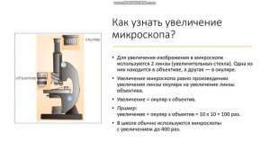 6 класс Устройство увеличительных приборов Строение светового микроскопа Работа с микроскопом