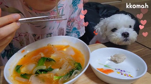 ENG)너무 덥다?불 없는 요리?살빠지는 다이어트 식단 요리브이로그