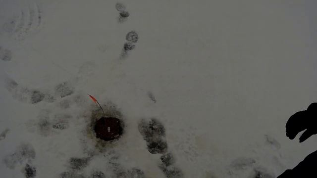 Федорцово Кубринск 2 смотреть онлайн