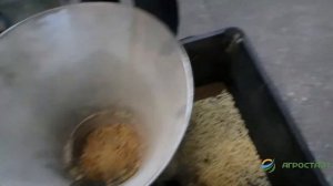 Гранулятор ZLSP-150. Гранулирование кукурузы без дробления. Агростарт