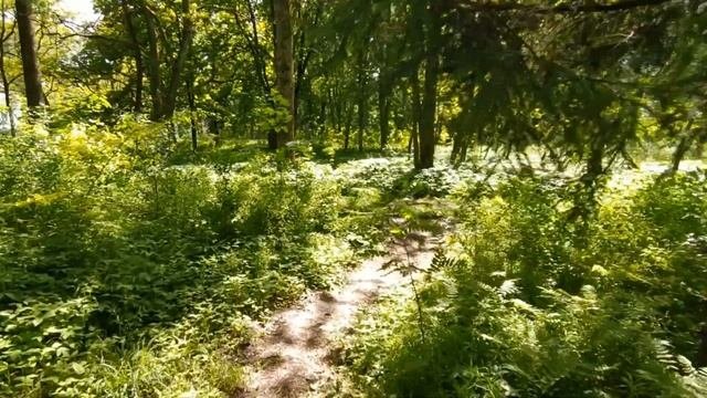 Заброшенная усадьба Новицких в Совейках. Заброшенные места Беларуси