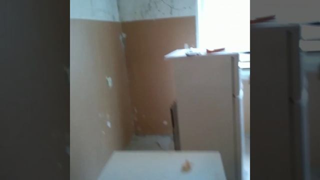 #бюджетныйремонт#ремонт#обои#бетон#стены#  Оклейка обоями на бетонные стены! Трэш!