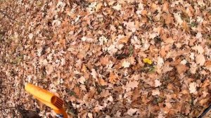 Сколько нужно сменить локаций, чтобы коп был успешным??!!