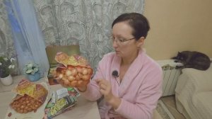 Домашнее видео 1 февраля 2024 года. Покупки из Леруа... Лук севок, семена,уровень строительный..