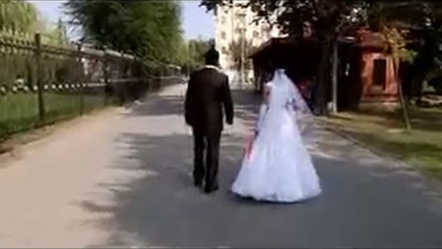 курдская свадьба в волгограде смотреть онлайн