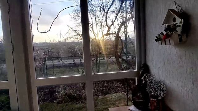 Опустошили Васин погреб !!! Он сам отдал!