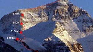 Цена вершины