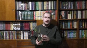 Бирючина обыкновенная. Укоренение черенков в воде.