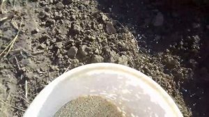 Осенняя подкормка малины...под зиму.