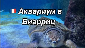 Аквариум в Биаррице-Окно в подводный мир. Обзор. Что посмотреть в Биарриц. Аквариумы Европы.