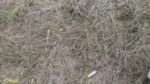 отстрел патронов Феттер 00 и Азот ( русский охотник) 00 на кучность, дистанция 35метров.