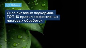 Вебинар "Сила листовых подкормок. ТОП 10 правил эффективных листовых обработок