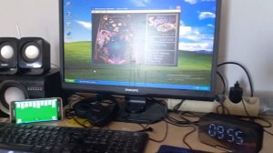 Windows XP Chip 2013