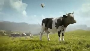 корова в дискотеке