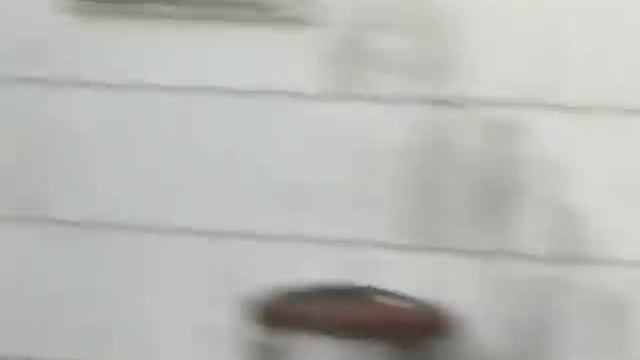 visous, tina, brian. uncle ricky смотреть онлайн