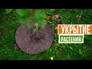 Приствольные круги для укрытия деревьев и кустарников