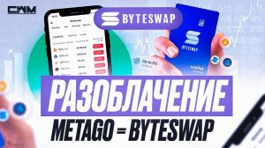 Byteswap разоблачение. Metago = Byteswap.
