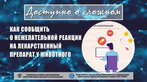 Видеоинструкция: как сообщить о нежелательной реакции на лекарственный препарат у животного