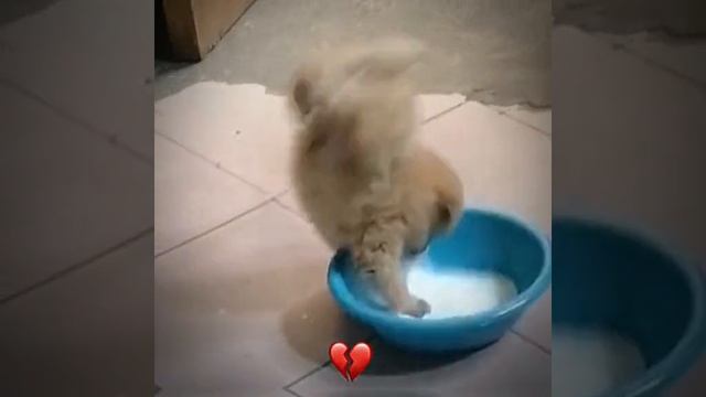 СМОТРИ И СМЕЙСЯ смотреть онлайн