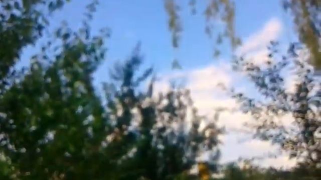 !Что можно делать летом , когда скучно!