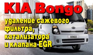KIA Bongo 2.5 diesel: удаление сажевого фильтра, катализатора и клапана ЕГР