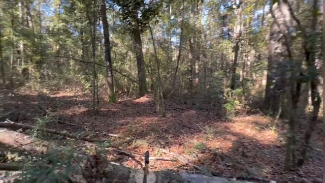 Gerber Gator or Gerber Garbage?? Shocking results at end! смотреть онлайн