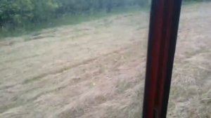 Переворачивание сена !!! Колесно пальцевые грабли ворошилки (Солнышко) на трактор Т 25