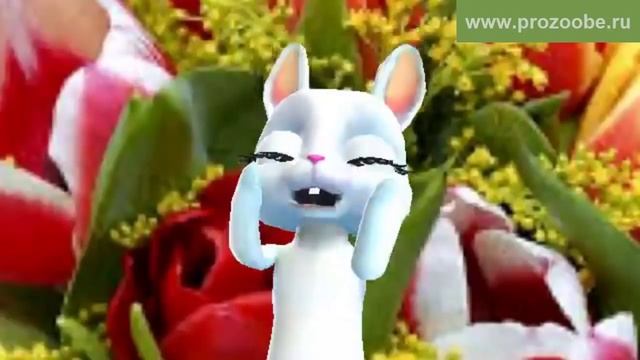 Поздравление с 8 марта ❋❋❋ Будь весела наперекор Судьбе! ❋❋❋ Поздравления от Зайки смотреть онлайн