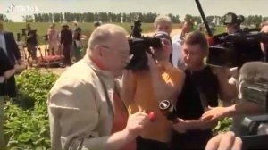 Жириновский про ягоды и то что дети были бы вкуснее.