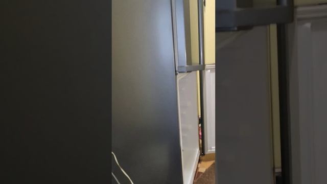 Холодильник Самсунг no Frost долго не включается. Появляется лёд на продуктах и стенках