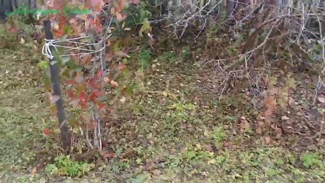 Я вам не расскажу чем отличается деревня от города. смотреть онлайн