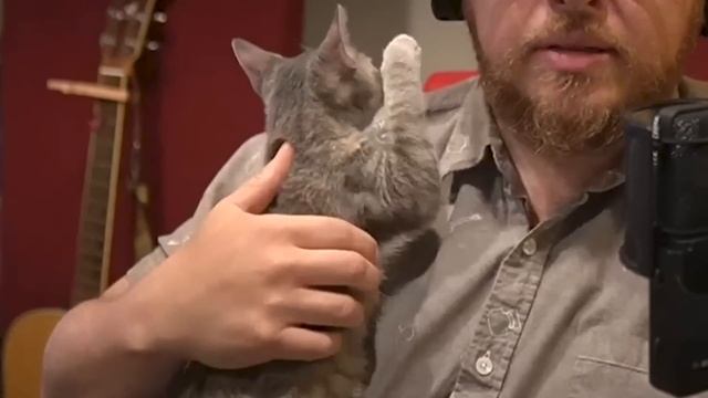 Justin's Got a Pretty New Kitty | MBMBaM Video Clips смотреть онлайн