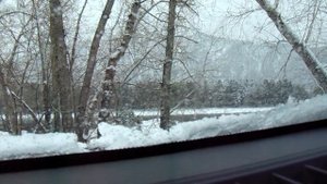 В.Железов о плодородии почвы в садах