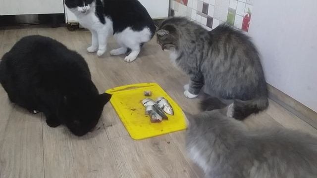 Конкуренция